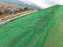 歡迎訪問貴州省安順市護坡植草三維植被網有什么作用