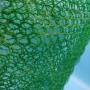 歡迎訪問海南省三沙市護坡植草三維植被網產品介紹