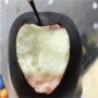 紅思尼可蘋果苗育苗廠家，河南省紅思尼可蘋果苗哪里便宜
