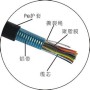 天聯HYA22-100對0.7實心敷設電纜價格