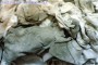 江蘇宿州#廢鈀粉回收現在估價##2022已更新