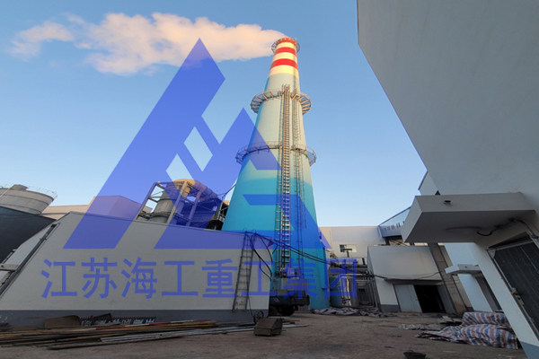 烟囱CEMS专用电梯-专利技术——在江阴生物制药厂成功安全运行