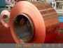 歡迎——T型銅止水板——通遼加工廠