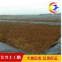 歡迎致電##錦州1.6mm土工膜##價格