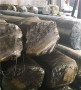 2023平涼SECC鍍鋅板卷、SECC鋼材線材##富寶鋼材