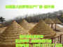 2023|欢迎来电#甘孜乡城地毯茅草/塑料茅草厂家