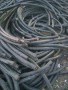 中衛鋁電纜回收剛剛更新高價回收/廠家