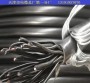 龍湖WDZC-KYYR23-22-6*1.5電纜