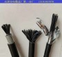 寧國WDZC-KYYRP23-3X4電纜