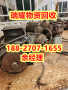 襄樊谷城县电机设备回收现在报价