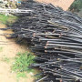 2022歡迎訪問##襄樊回收廢銅電纜線##每噸價格