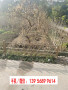 2023歡迎訪問##忻州岢嵐縣仿竹籬笆不銹鋼仿竹護欄#竹片籬笆江蘇省泰州