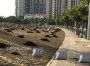 昌樂羊糞有機肥北京順義羊糞莊稼的好肥料