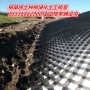 边坡防护塑料网栅安徽鱼塘护坡固土网边坡防护塑料网栅