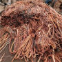株洲銅電纜回收回收站一噸價格