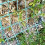 哈密綠色攀爬網 