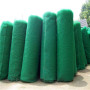 大慶綠化三維護坡網規格