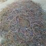 田東縣電纜銅回收商務合作鋁絞線回收夏季服務