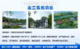 16年行业实战经验##庆阳专业做特色小镇规划公司