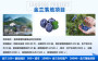 18年經驗##云南省西雙版納專業做農業產業規劃公司