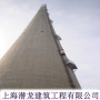 儋州市脫硫塔CEMS環保檢測升降梯制造施工-上海潛龍建筑工程有限公司