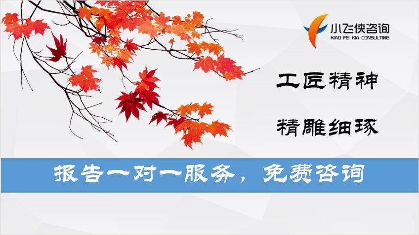 肃宁县2022年专业代写社会风险评估报告-小飞侠咨询实体公司