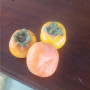 2022歡迎訪問##  金華 大秋甜脆柿子苗價格##上市