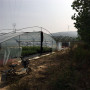 2022歡迎訪問##  朝陽 4年萊克西藍莓苗基地##上市