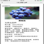 2022歡迎訪問##  大連 4年云雀藍莓苗批發價格##實業集團