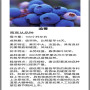 2022歡迎訪問##  連云港 2年萊克西藍莓苗價格##集團