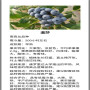 2021歡迎訪問## 九江 1年萊克西藍莓苗多少錢##集團