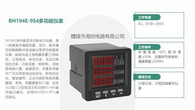 2024保山腾冲BRN-E201-AI电流表用户手册