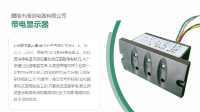 2024郴州苏仙PS9774I-9X4电流表价格厂家