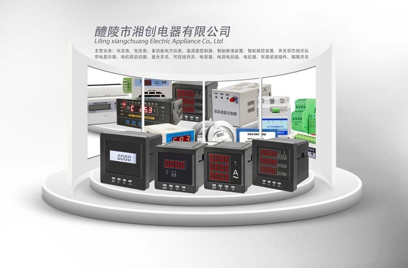 2024忻州神池DJR-120-V三相电压表用户手册