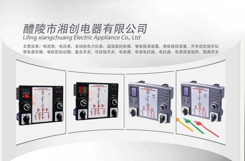廊坊市永清县CD194U-1D2数字电压表特点2024已更新