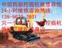 歡迎訪問##都江堰市卡特挖掘機維修服務處理##有限集團