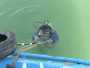 歡迎訪問##臨汾市蛙人打撈隊##專業潛水隊伍