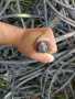 甘孜鄉城電纜電力電纜回收3x185電纜回收-現金交易-支持轉賬