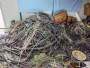 岳陽鋁電纜回收長期收購銅鋁廢料二手電纜－榮發回收服務好