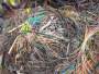 廢電纜回收文山礦用電纜回收廢銅纜鋁電纜回收價格/廠家