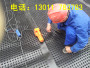 2022歡迎訪問##重慶3公分厚PVC絲網狀網狀排水板銅仁##生產公司