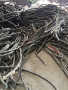 自贡市工程剩余电缆回收多少钱一米  快速上门