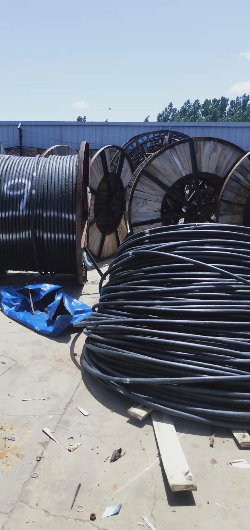 双鸭山市电线电缆回收多少钱一米 全天候服务
