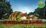 2021歡迎訪問##奇臺園林綠雕，2022春節立體花壇，廣場大花籃##實業集團