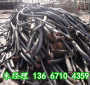 黄石市电线电缆-武汉回收