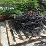 懷遠蘭州眾邦單芯電纜回收量大價格高