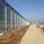 2022歡迎選購湖北省鄂州#玻璃溫室大棚造價高低