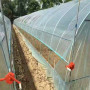 杭州富陽噴淋系統連棟大棚農業溫室大棚 的