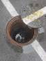 YYDS#東高地清理地溝污水抽污泥 生化池清理施工隊#實業集團