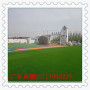 湖北宜昌五峰籃球場TSES懸浮拼裝地板2024歡迎訪問##廠家##集團